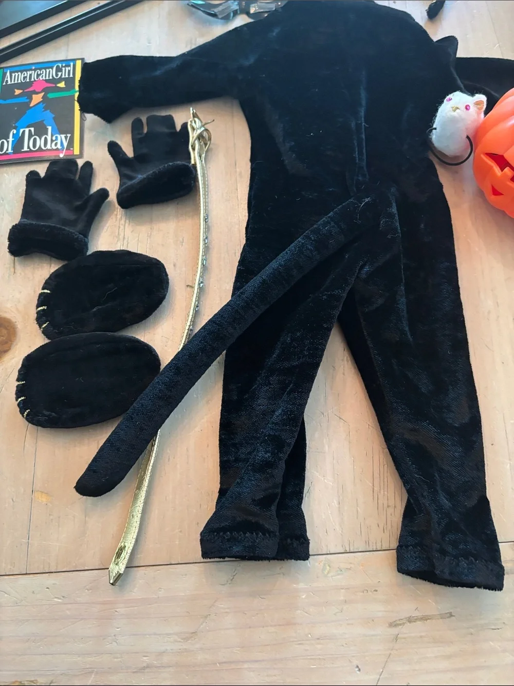 American Girl Cat Costume with Accessories